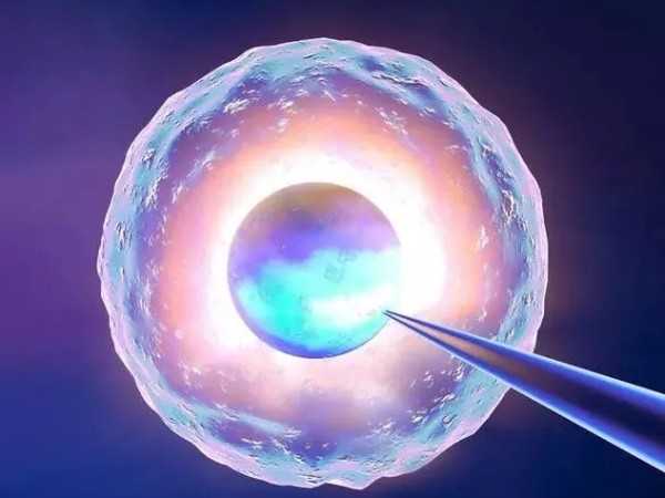 一代试管是如何筛选优质精子进行体外受精的？